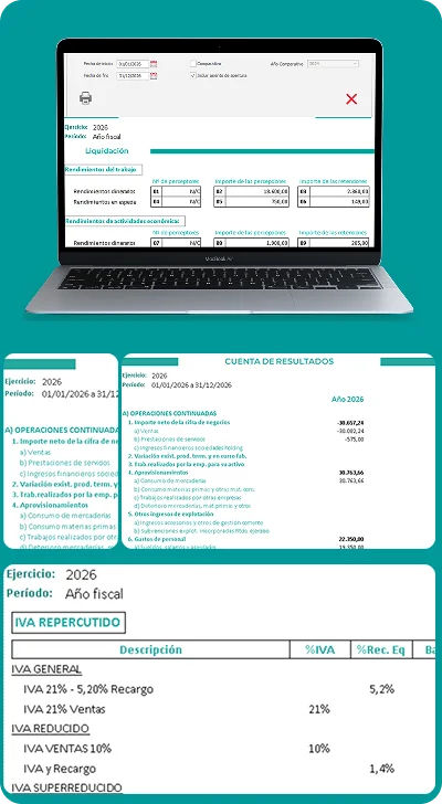 Plantillas de contabilidad analítica generadas por Defisoft: Cuentas de resultados, Balance de situación y Sumas y Saldos automáticos.